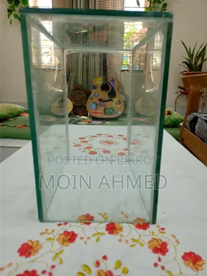 Betta Fish Tank / ছোট একুরিয়াম
