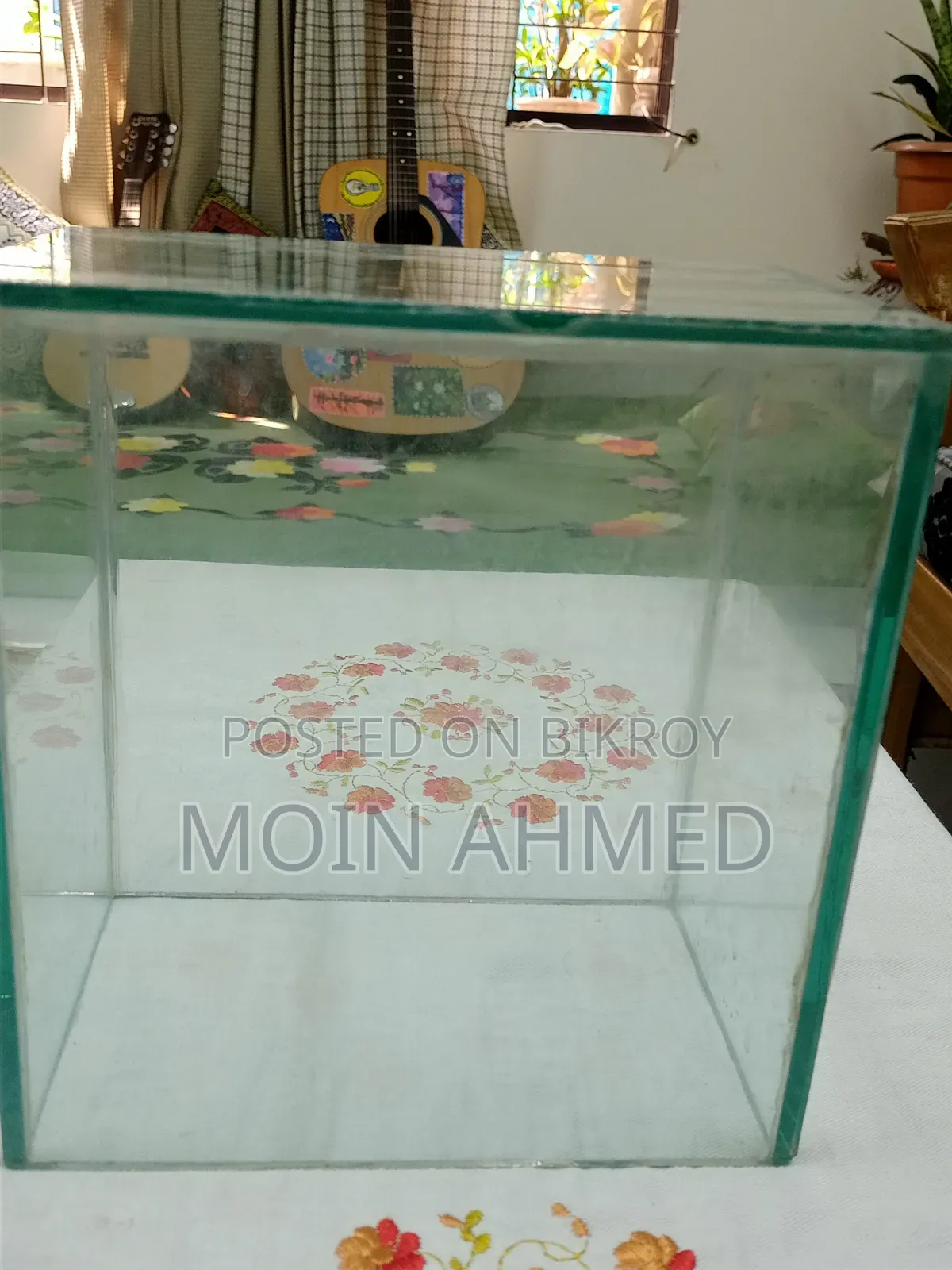 Betta Fish Tank / ছোট একুরিয়াম