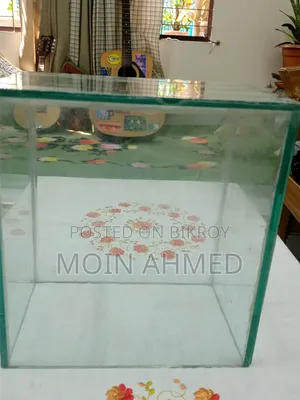 Betta Fish Tank / ছোট একুরিয়াম