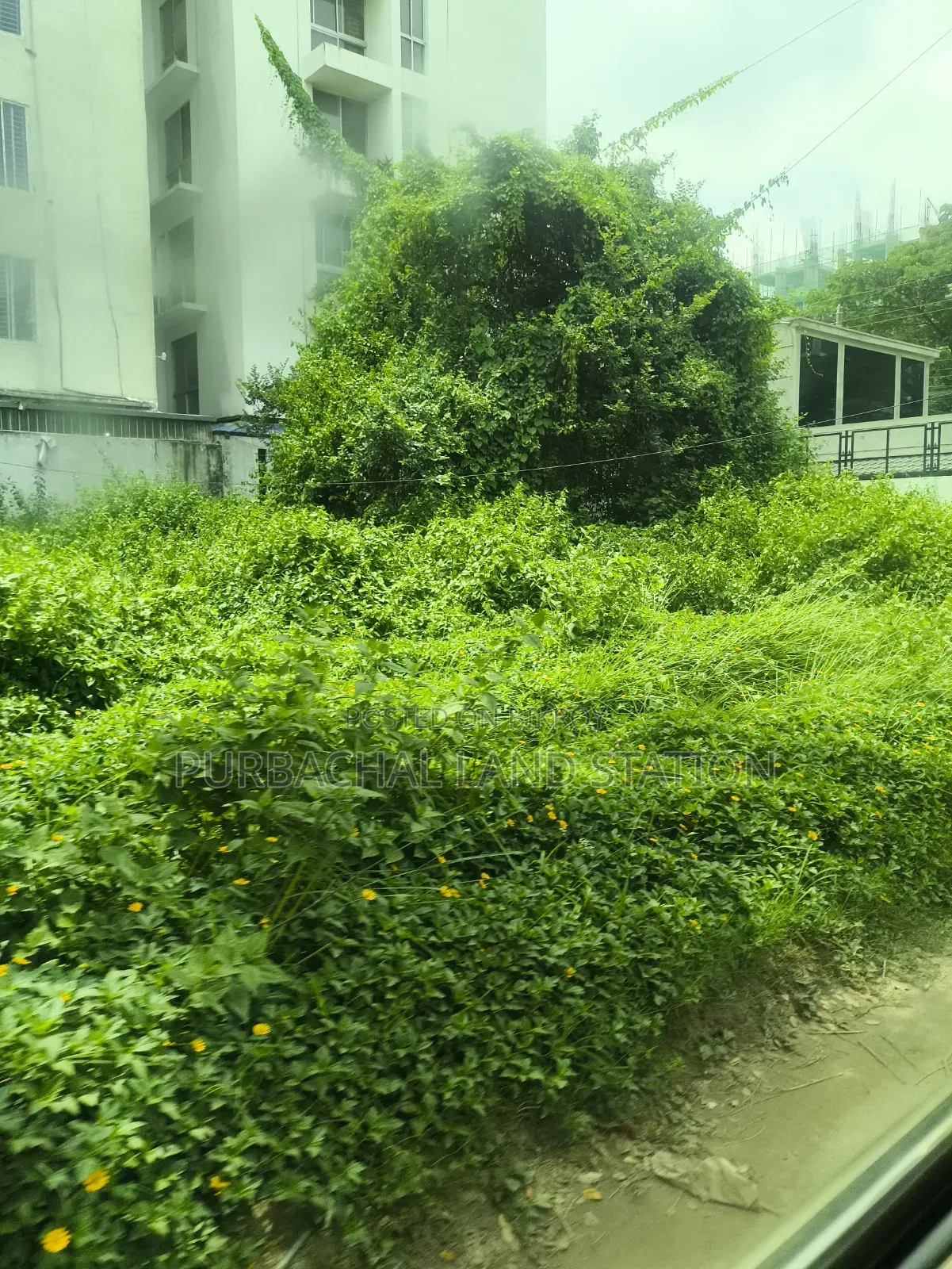 Minimum Price Sector:13,East Face 5 Katha Plot Urgent Salin Purbachal