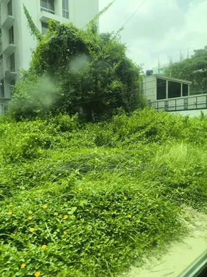 Minimum Price Sector:13,East Face 5 Katha Plot Urgent Salin Purbachal