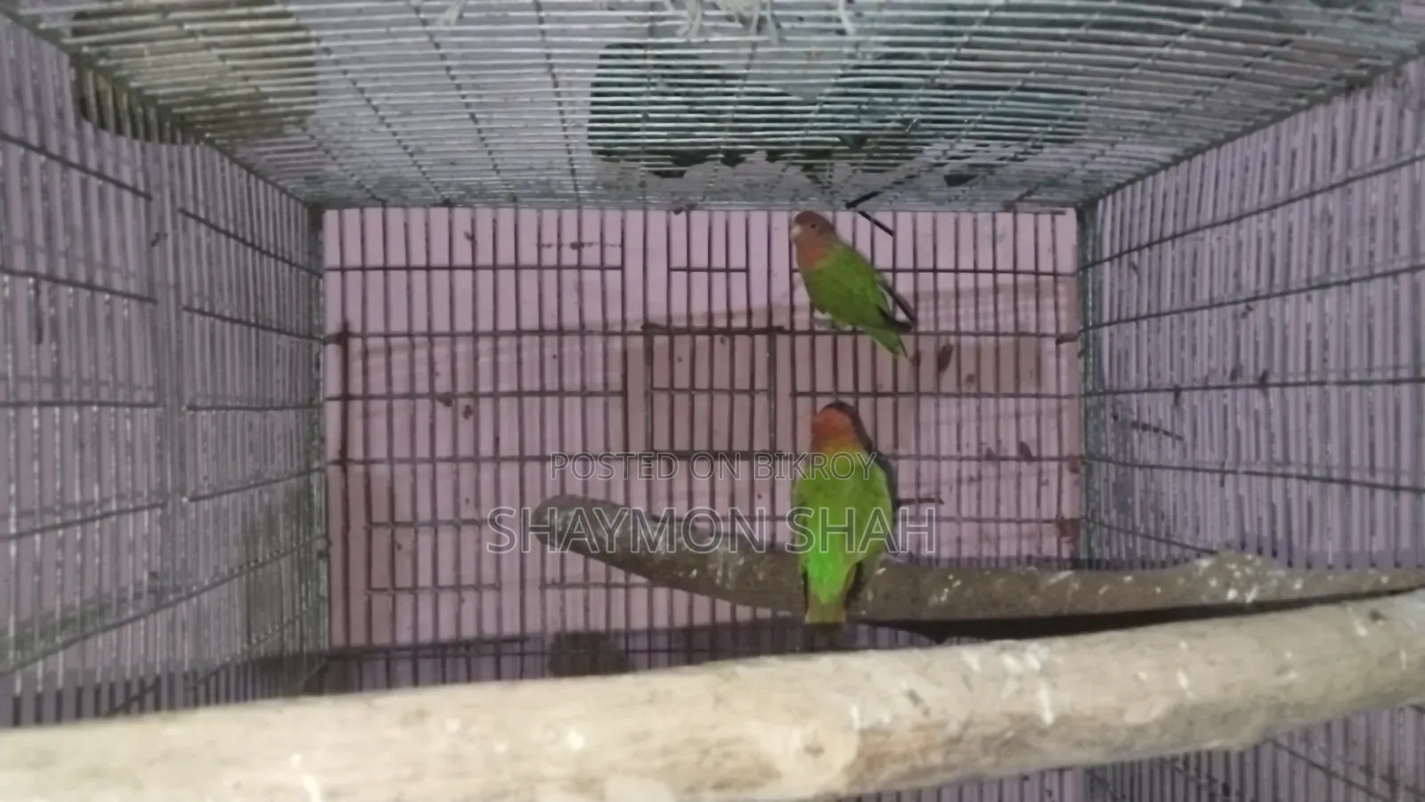 লাবভার্ড বিক্রি করা হবে