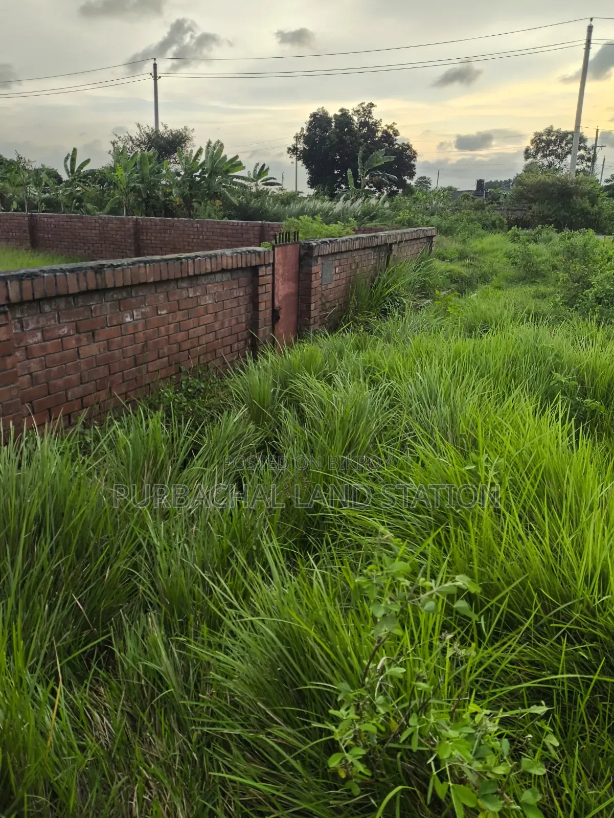 Sector:15,Urgent 3 Katha Plot Sale in Purbachal