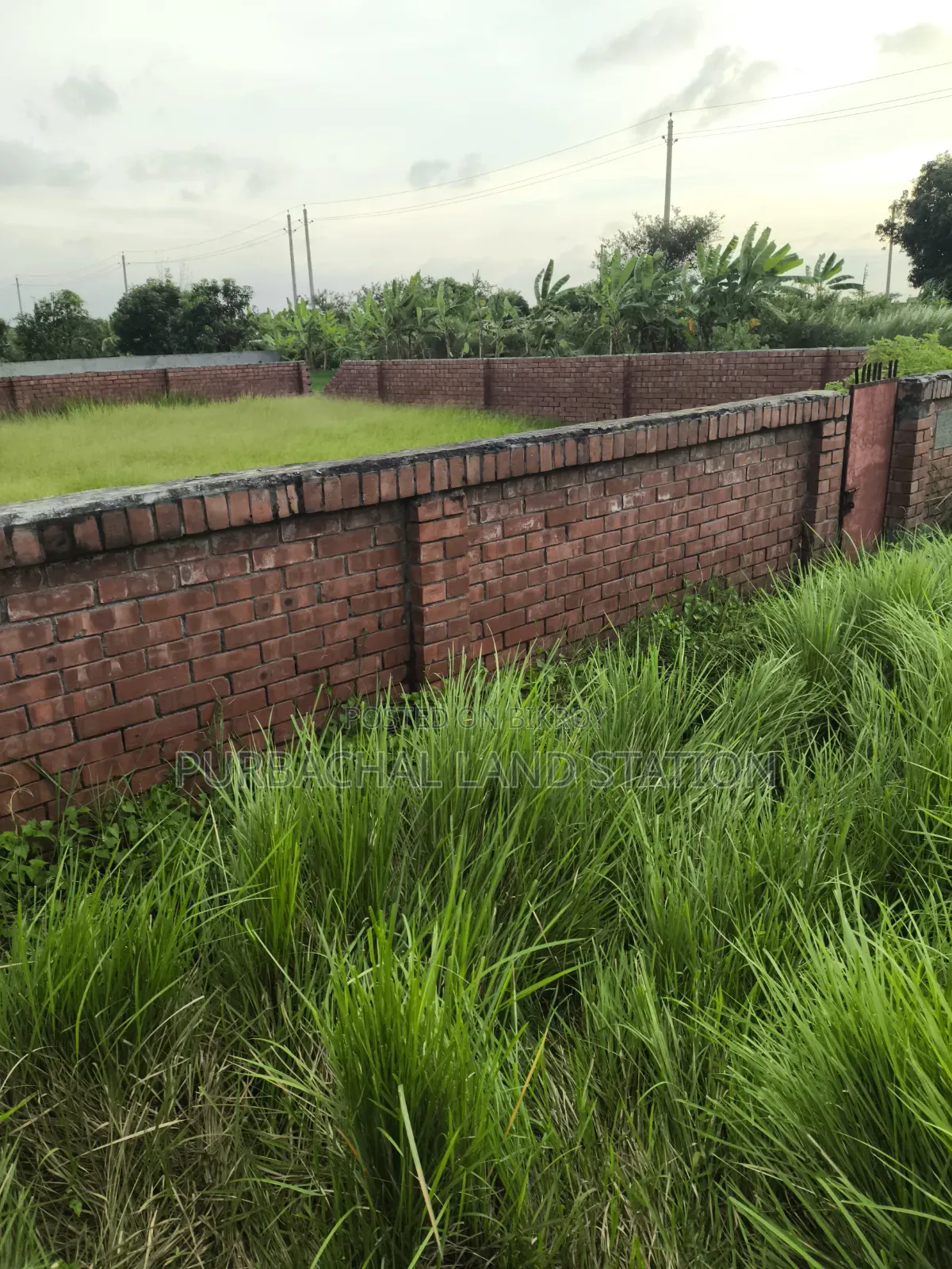 Sector:15,Urgent 3 Katha Plot Sale in Purbachal