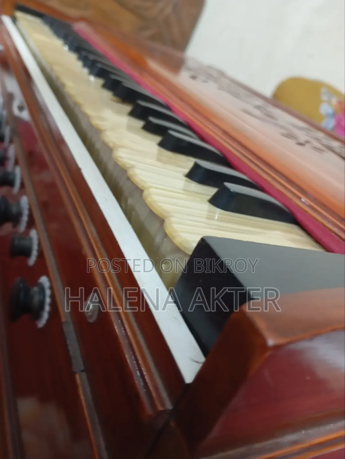 Musical Instument