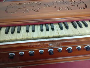 Musical Instument
