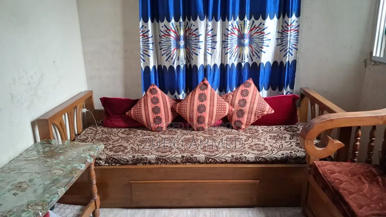 বেড সোফা এবং একটি ডাবল সোফা