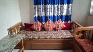 বেড সোফা এবং একটি ডাবল সোফা