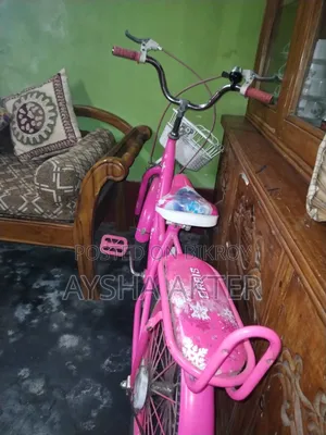 মেয়েদের চালানোর সাইকেল