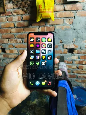 অ্যাপল আইফোন এক্সএস ২৫৬ জিবি রোজ গোল্ড