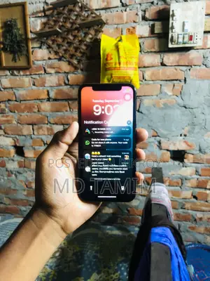 অ্যাপল আইফোন এক্সএস ২৫৬ জিবি রোজ গোল্ড