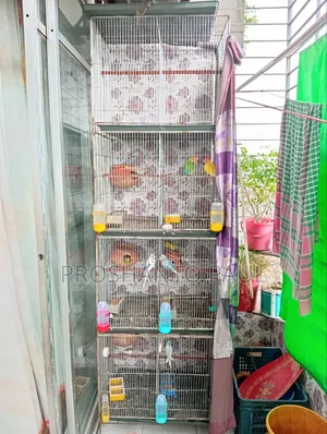 পাখি সহ খাঁচা সেল হবে।
