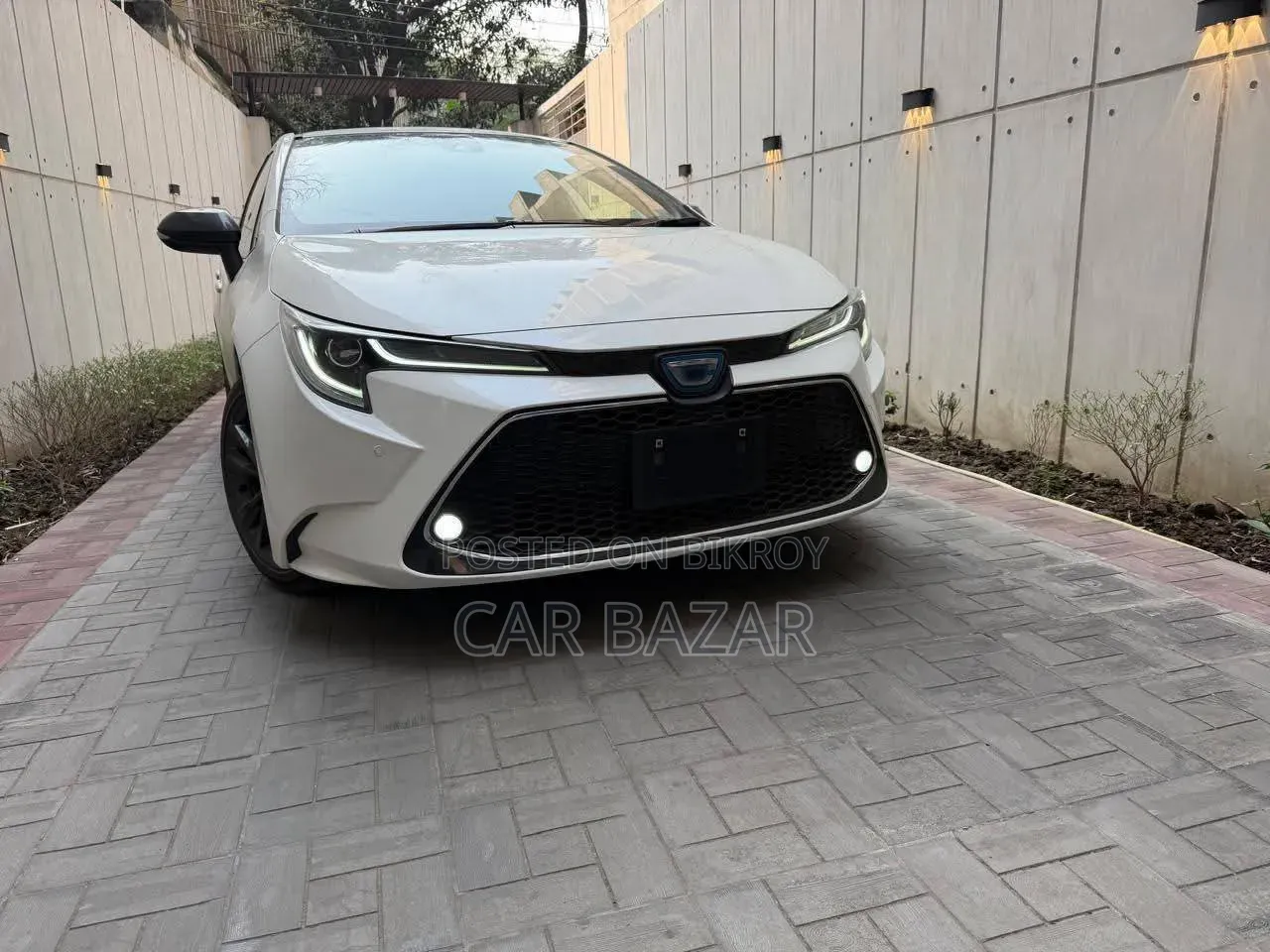 Toyota Corolla Touring WxB 2020 Pearl