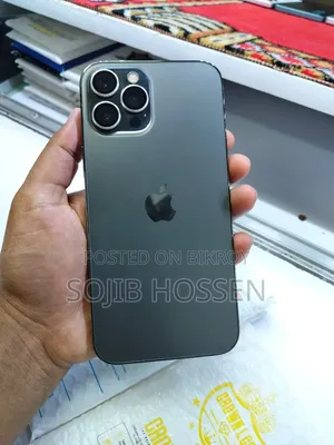 Apple iPhone 12 Pro Max 256 GB Gray