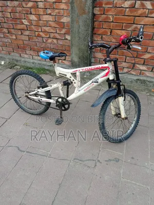 Phoenix 20" Bicycle