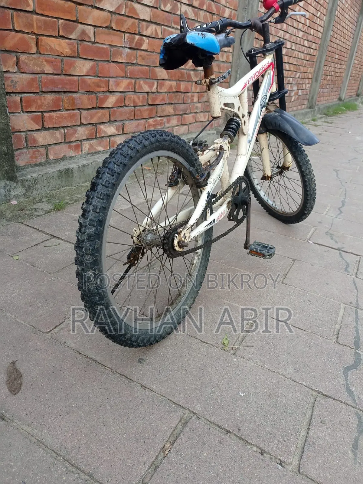 Phoenix 20" Bicycle