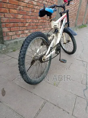 Phoenix 20" Bicycle