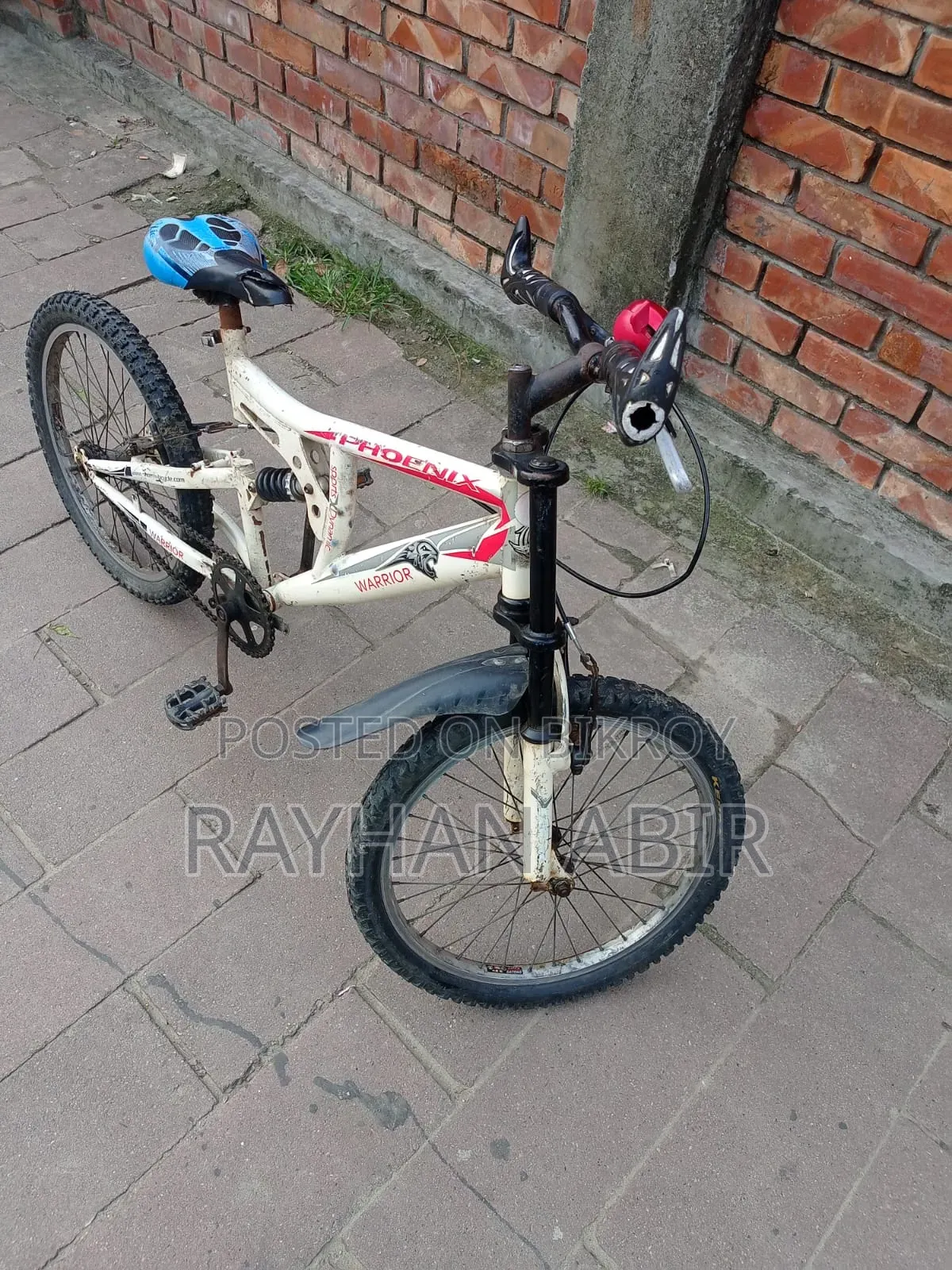 Phoenix 20" Bicycle