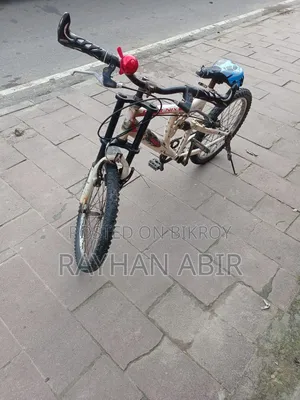 Phoenix 20" Bicycle