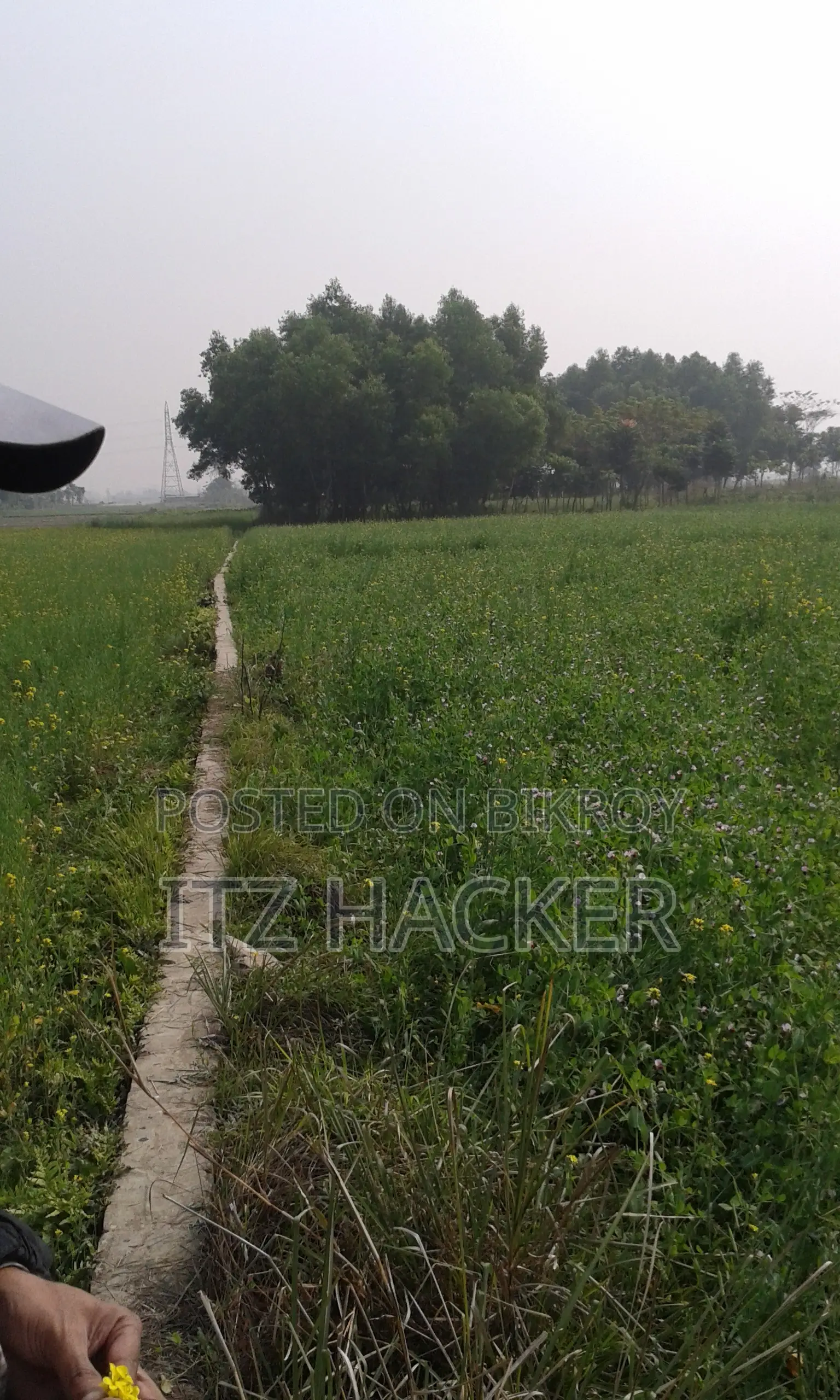 ১৬.৫০ শতাংশ জমি আরজেন্ট বিক্রি হবে কম দামে।