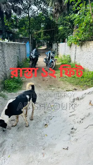 বিরুলিয়া কমলাপুর বাজারের পাশে ৯ শতক জমি বিক্রি | ১২ ফিট রাস্তা