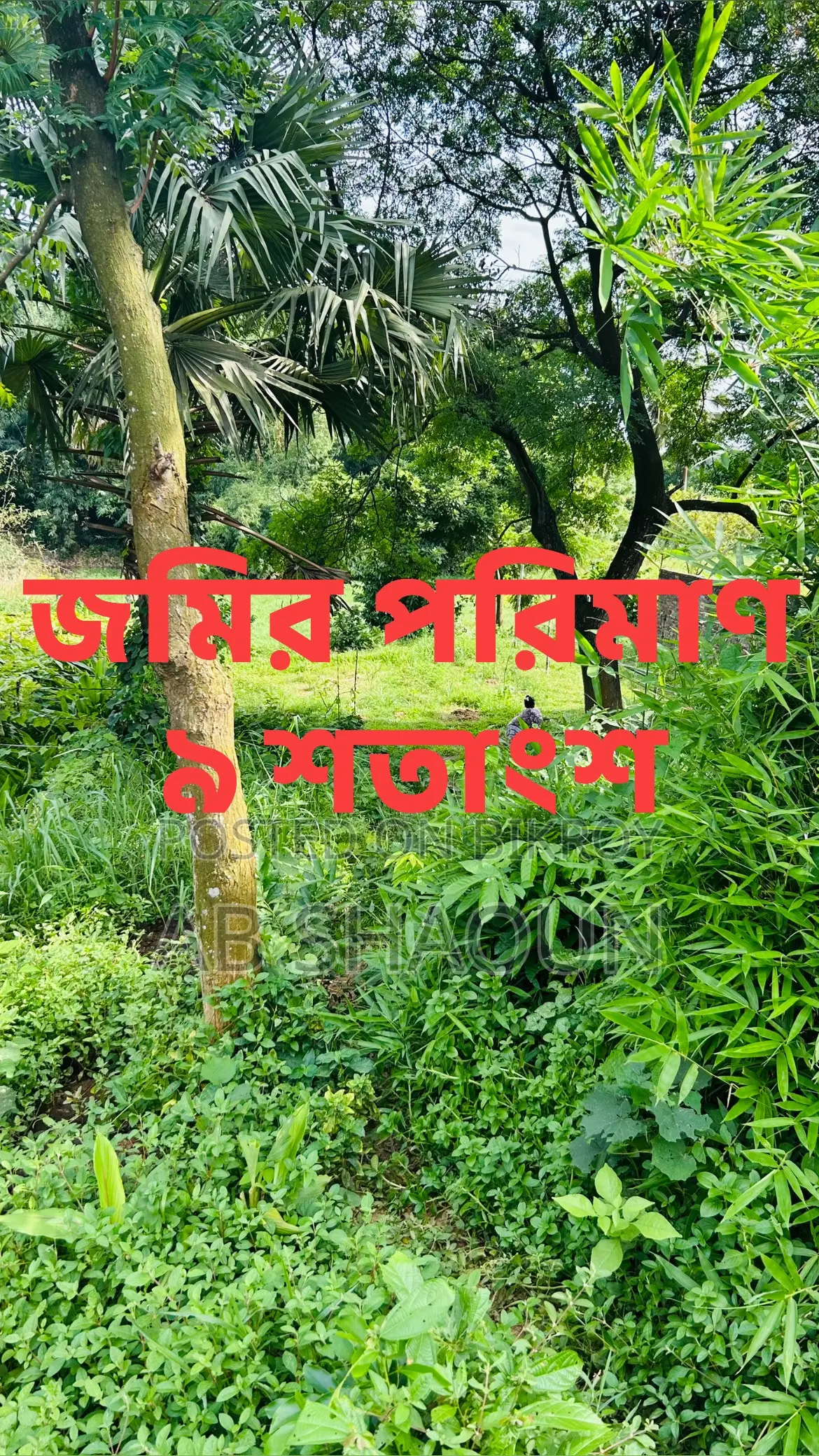 বিরুলিয়া কমলাপুর বাজারের পাশে ৯ শতক জমি বিক্রি | ১২ ফিট রাস্তা