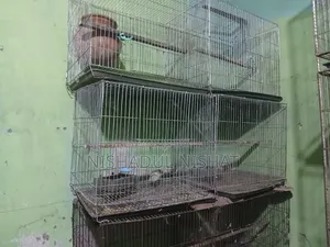 খাচা / Cage