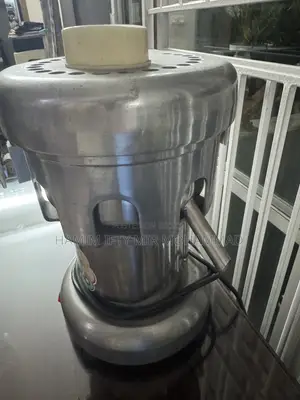 Industrial Commercial Fruit Juice Machine for Sale