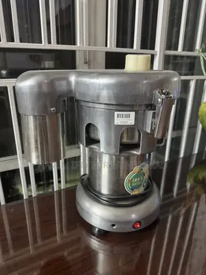 Industrial Commercial Fruit Juice Machine for Sale