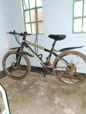 Falcon Bycycle