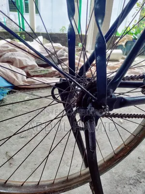 আরিজিনাল ফনিক্স সাইকেল