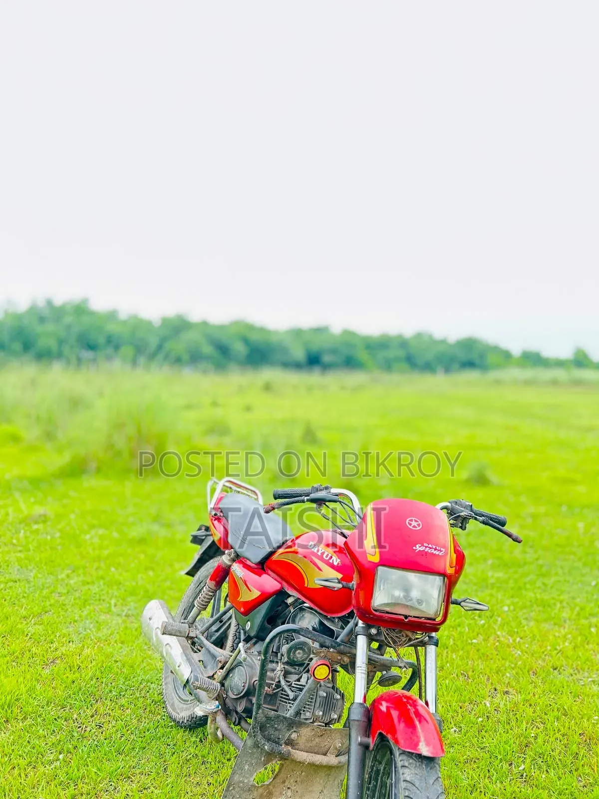 Dayun Sprout 100 2019 Red