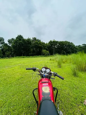 Dayun Sprout 100 2019 Red