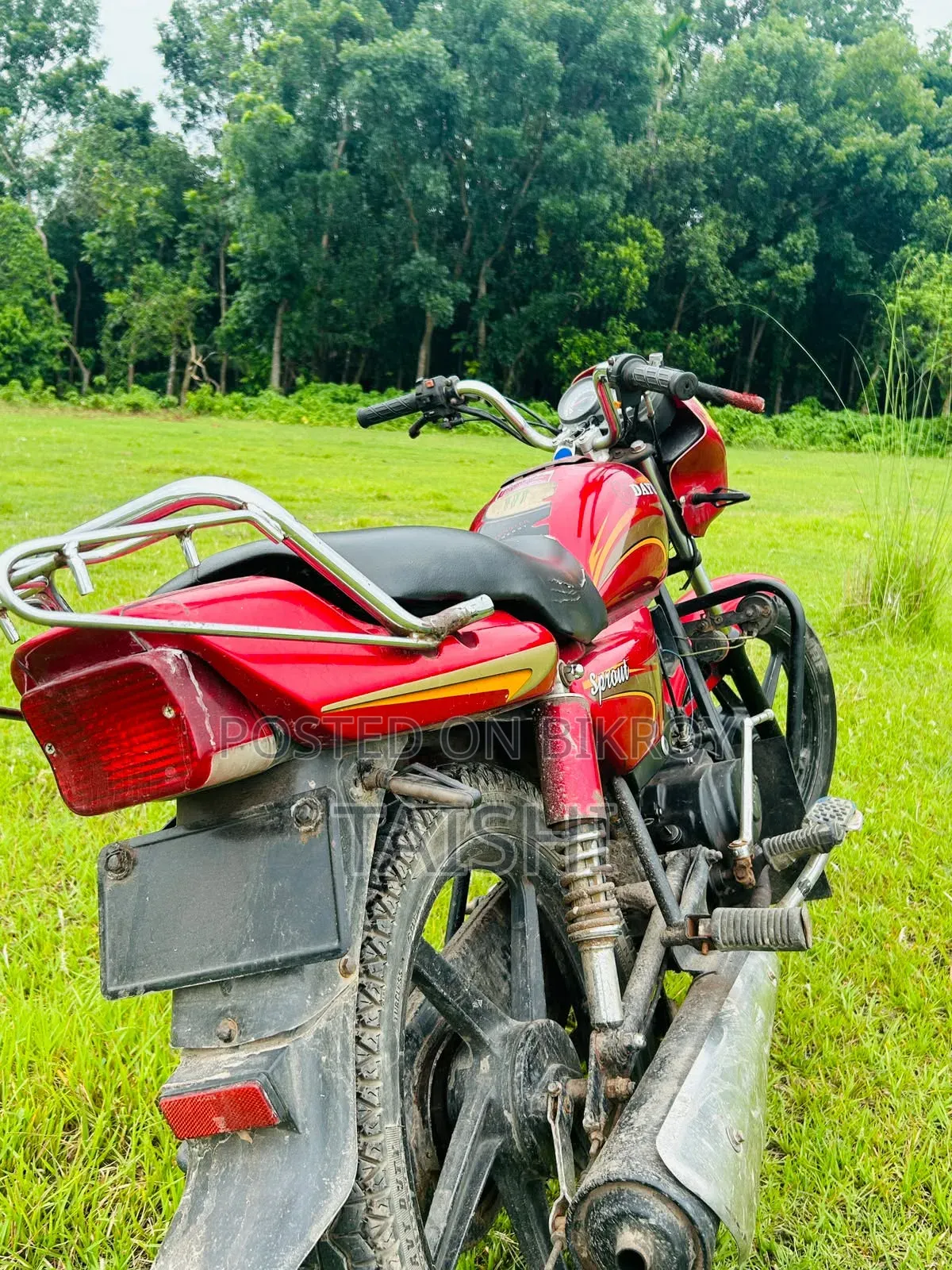 Dayun Sprout 100 2019 Red