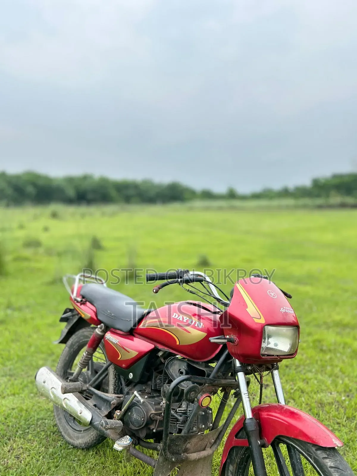 Dayun Sprout 100 2019 Red