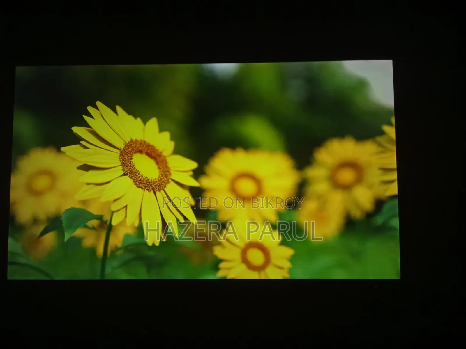 Walton 42" Android TV