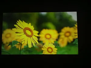 Walton 42" Android TV