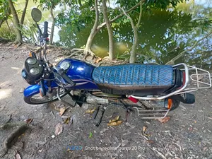 Hero Splendor 110 2005 Blue