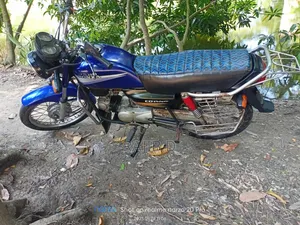 Hero Splendor 110 2005 Blue