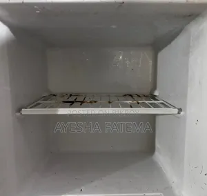 Singer Fridge Is Up for Sell