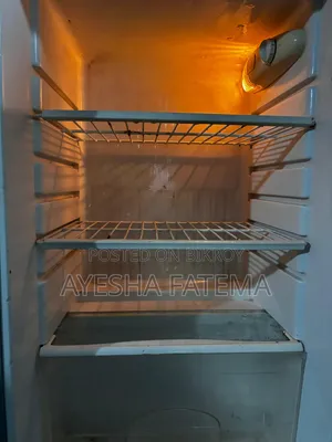 Singer Fridge Is Up for Sell