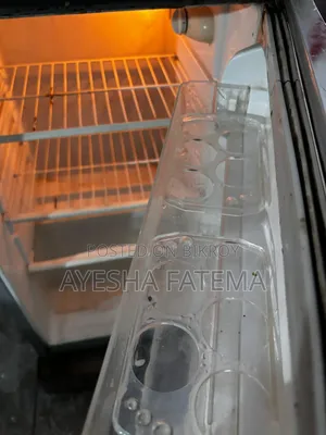 Singer Fridge Is Up for Sell