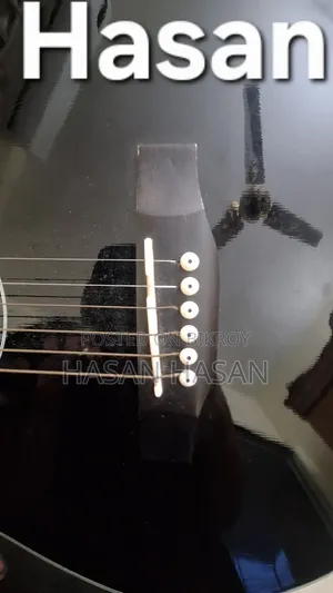 TGM Guiter