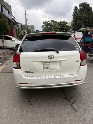 Toyota Corolla Fielder 2013 White