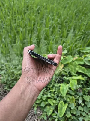 Apple iPhone 12 Pro Max 256 GB Graphite