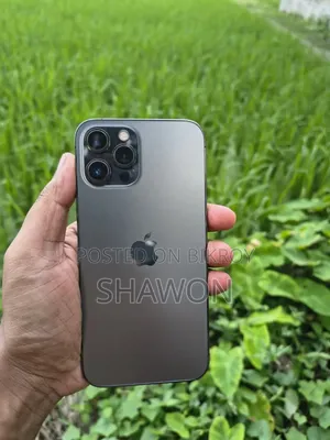 Apple iPhone 12 Pro Max 256 GB Graphite