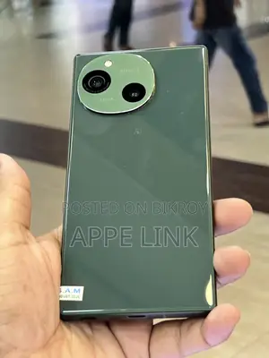 Sharp 256 GB Green