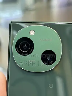 Sharp 256 GB Green