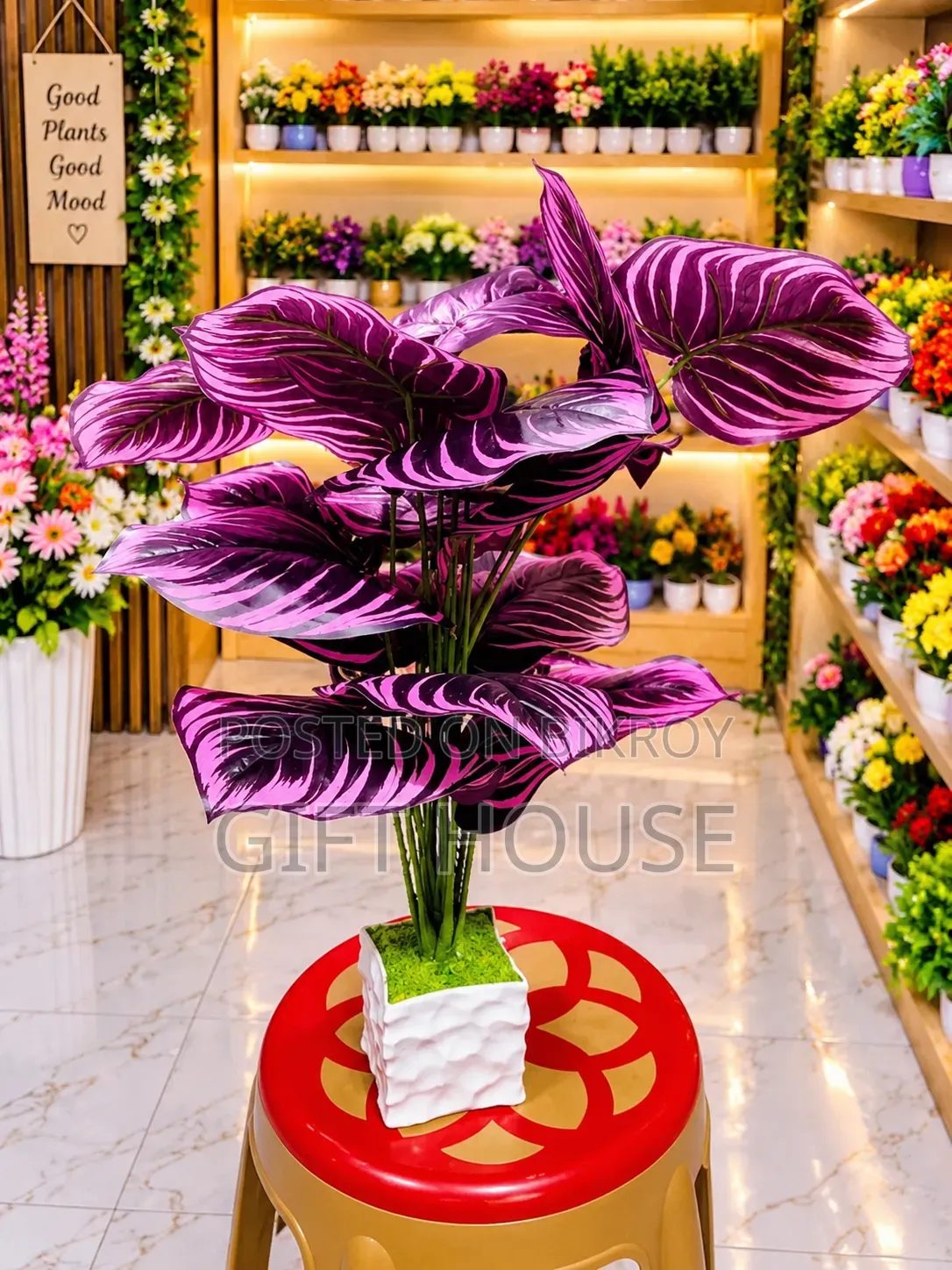 আর্টিফিশিয়াল 18 কচু পাতা