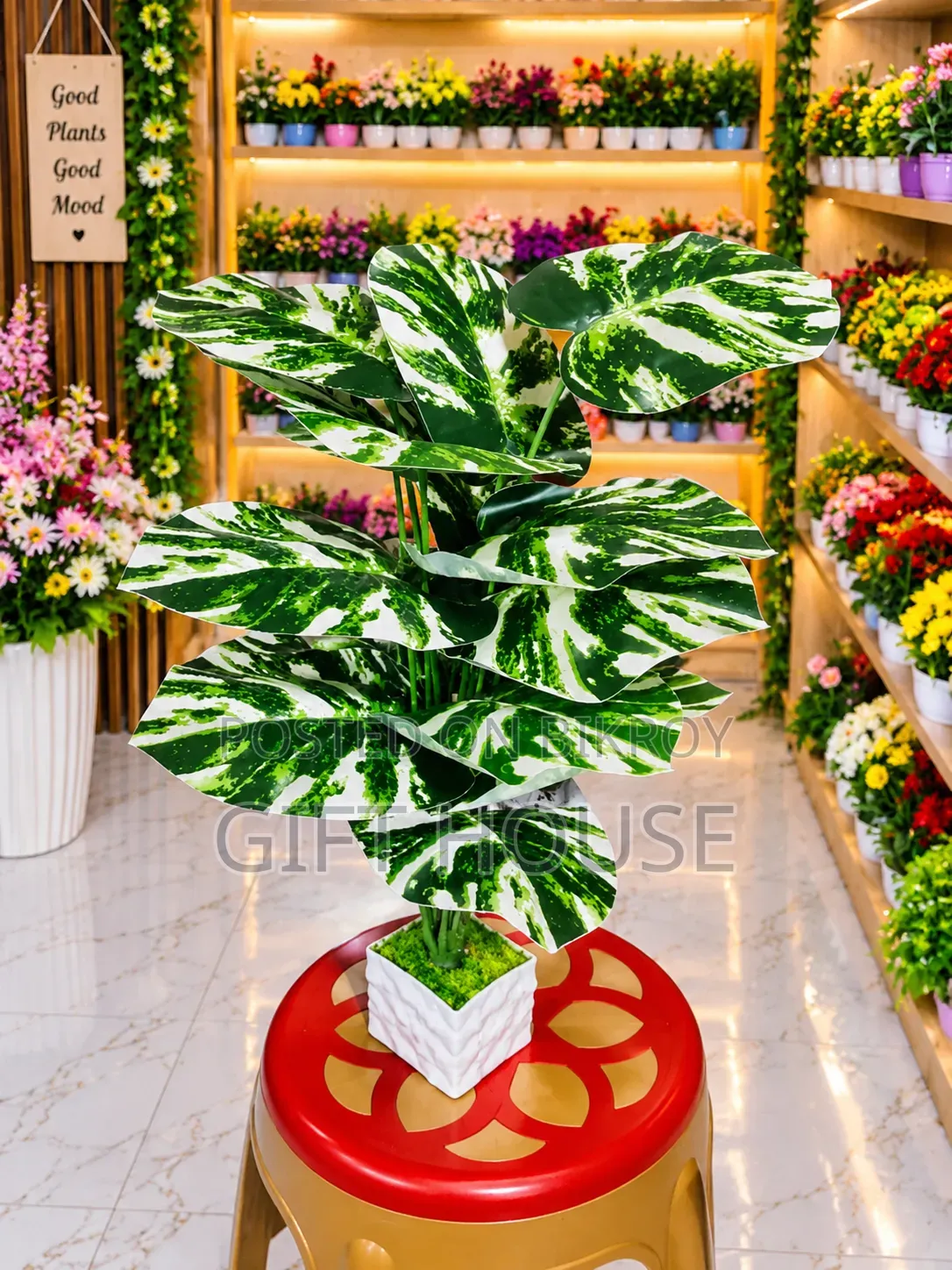 আর্টিফিশিয়াল 18 কচু পাতা